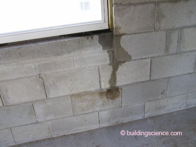 Bsi 037 Mold In Alligator Alley Building Science Corporation